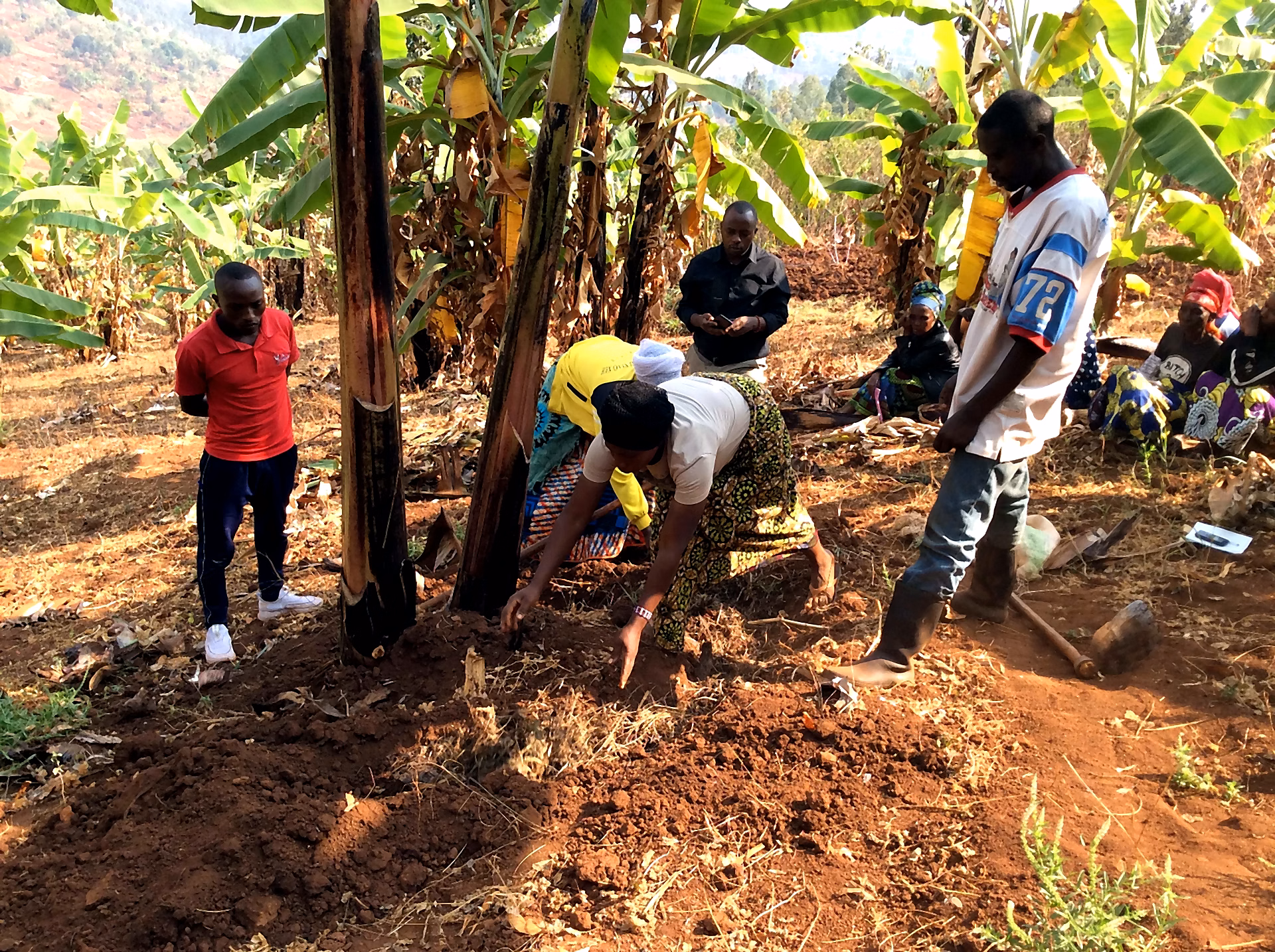 Founded by agroforestry students to respond to rural challenges