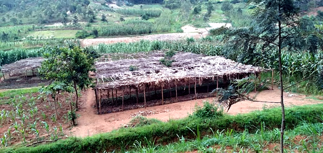 Protecting the environment while improving livelihoods